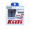 Автолампа H11 (55w) (100w) PGJ19-2 Whitebeam III 4000K 12v Koito (2шт.), пр-ва Philips
