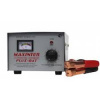 Зарядное устройство PLUS- 8 AT (Compact) MAXINTER  (8шт)